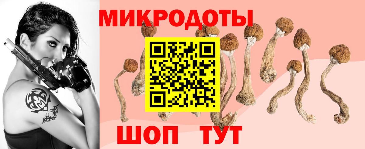 Реж  Псилоцибиновые грибы Psilocybine cubensis  наркошоп  Вход с VPN 